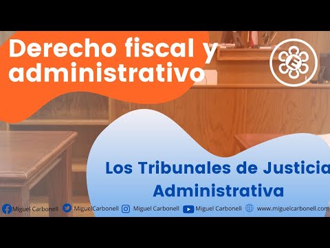 Video: ¿Qué son los tribunales estatales?