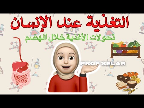 جزء 00 التغذية عند الإنسان تحولات الأغذية خلال الهضم 1 الرابعة متوسط 