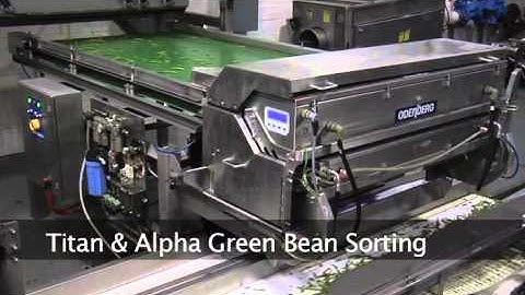 Green Bean Sorting, ODENBERG