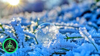 Famous Frosty Morning Music | Calm Music for Relaxation and Meditation Net Worth