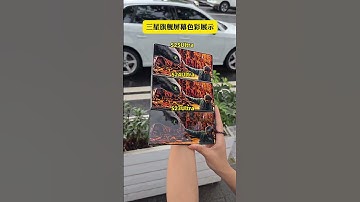 Samsung S25 Ultra: Is Its Screen the Undisputed King of Android?