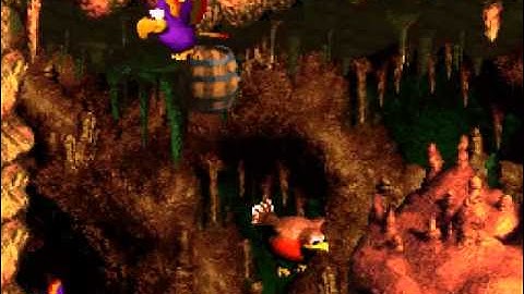 DKC3: Dixie