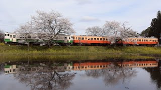 小湊鐵道上り２６Ａ飯給駅停車～発車(2022.4.2)