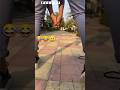 Wait The End ☺️😂😂 | #shorts #comedy #funny #viral #crazyxyz