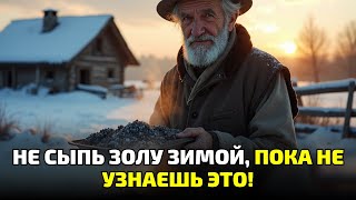 видео: Не делай этого с золой зимой! Обычная ошибка, из-за которой пропадает урожай! картинка: Не делай этого с золой зимой! Обычная ошибка, из-за которой пропадает урожай!