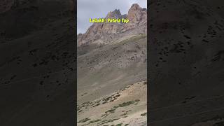 Ladakh | Fotula Top | 13500 Feet Altitude