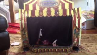 Max and Ruby Puppet Show