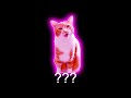❗Ha Hee Cat Sound Variations in 30 Seconds❗