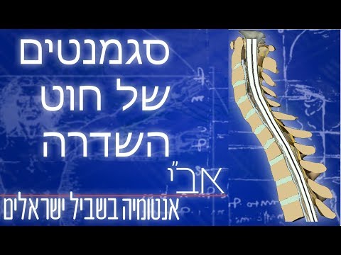 וִידֵאוֹ: איך מוגן חוט השדרה?