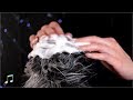 【ASMR】頭皮で弾ける炭酸泡シャンプー - Relaxing Shampoo | No Talking