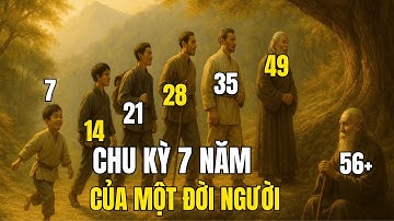 CHU KỲ 7 NĂM CỦA MỘT ĐỜI NGƯỜI Giai Đoạn Từ Tuổi Thơ Đến Tuổi Trung Niên, Khi Ta Dần Hiểu Mình Là Ai