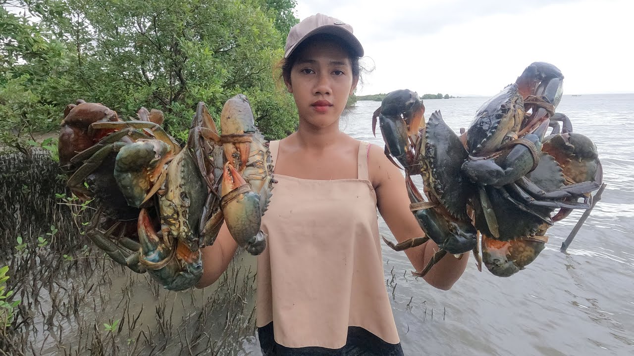 Catching Huge Mud Crabs at Shore In Rainy Season - YouTube