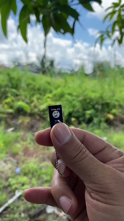 Flashdisk Full Music MP3 & MP4 Latest Songs & Various Genres.