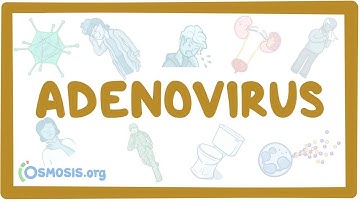 Adenovirus - an Osmosis Preview