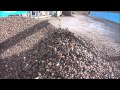 Haith Recycled Aggregate Washing Sytem.wmv