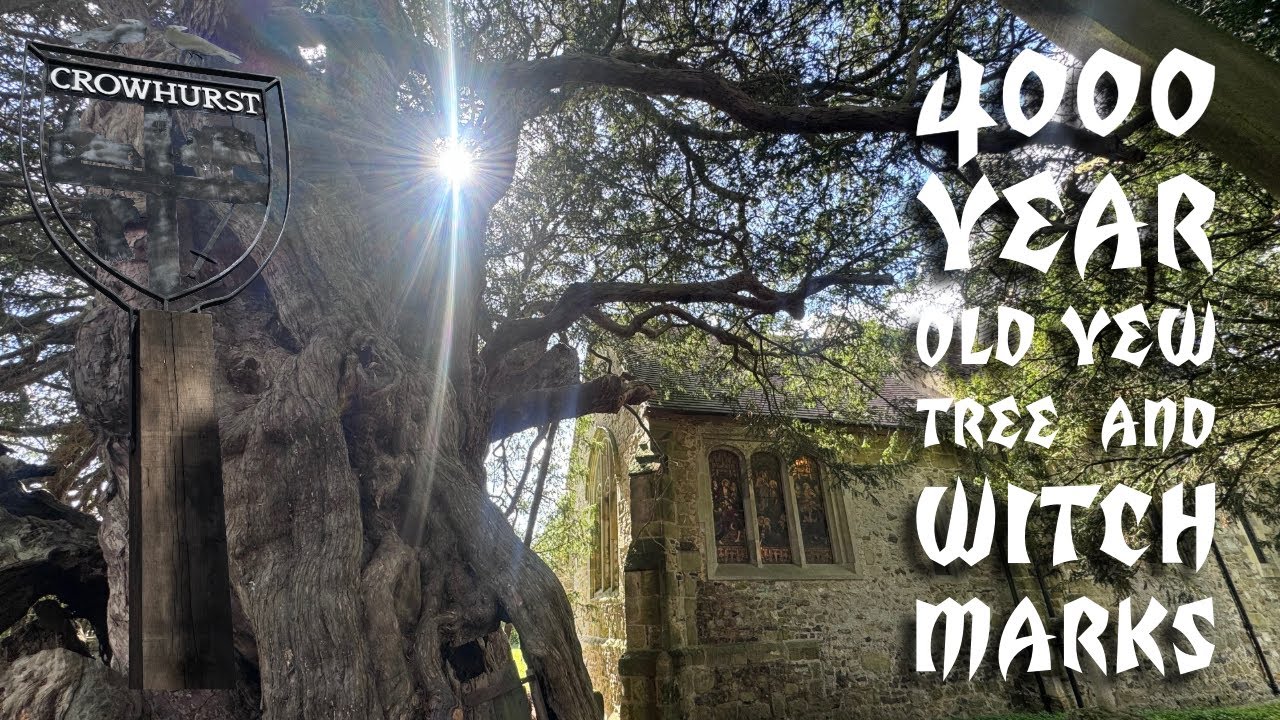 Haunted Crowhurst Church | 4000-Year-Old Tree & Witch Marks of Protection