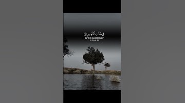 قراءه هادئه بصوت القارئ عبد الرحمن مسعد #قرآن #اكسبلور #قران_كريم #لايك #عبدالرحمن_مسعد #راحة_نفسية