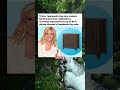 Trisha Yearwood Collection Up to 61% Off 🏡 #trending #viral