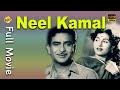 Neel kamal    1947 hindi full movie  raj kapoor  begum para  bollywood movies  tvnxt