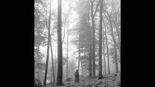 Taylor Swift  My Tears Ricochet clean Version