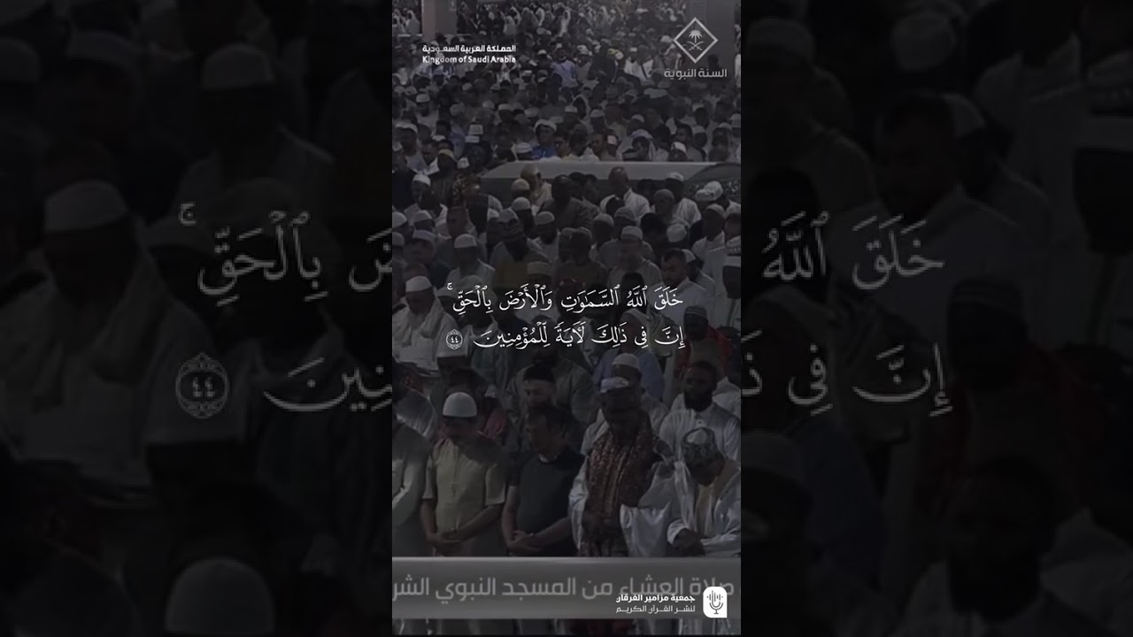 مقتطف من تلاوة فضيلة الشيخ #عبدالمحسن_القاسم من صلاة العشاء 1 ذو الحجة 1446