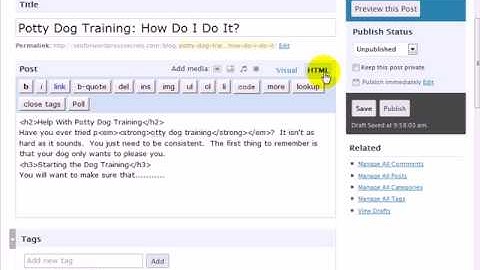 wordpress-secrets-8.avi: SEO For WordPress Secrets: Working with Italics, Bold, and Underlining