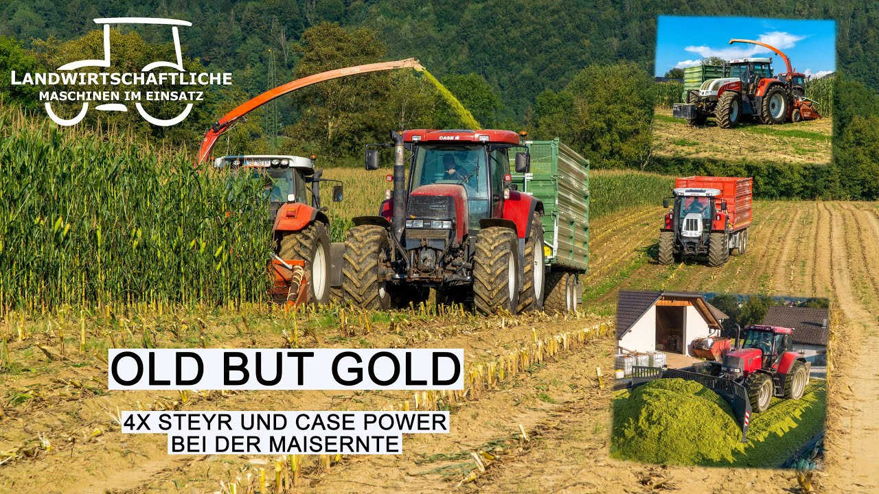 Maishäckseln mit 2 Steyr CVT und 2 Case CVX | Maisernte 2024 | Kemper Champion 3000 | Agriculture