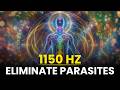 1150 Hz Rife Frequency To Kill Remove Parasites Flush Them Out 1150 Hz Rife Frequency To Kill Remove Parasites Flush Them Out
