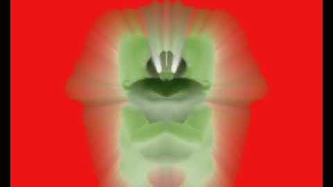 bonzi com is offline in shiny invert mirror left