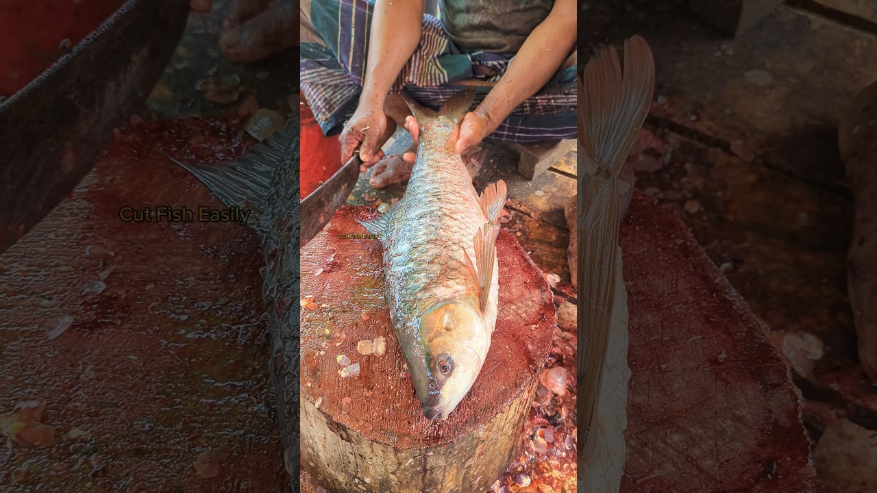 Delicious!! Big Rohu Fish Cutting Skills in Fish Market 😯😱 || 