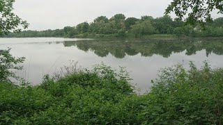 MPCA Warns Of Blue-Green Algae Bloom