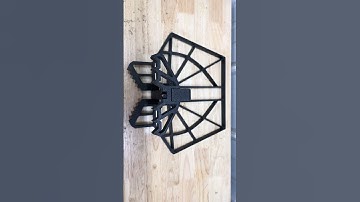 Latitude Rebel Platform