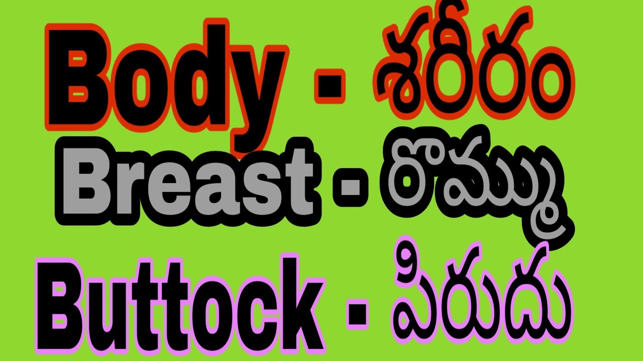 Humanbodypartsnames Humanbod PARTS OF HUMAN BODY IN TELUGU HUMAN humanbodypartsnames-humanbod-parts-of-human-body-in-telugu-human