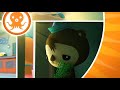Octonauts All Octoalert Fails Errors Differences Confusions Compilation Octonauts All Octoalert Fails Errors Differences Confusions Compilation
