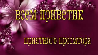 #поляpets почему котята лезут в волосы #поляpets почему котята лезут в волосы