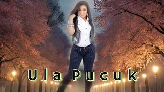 Download Lagu ULA PUCUK NUNUNG ALVI MP3