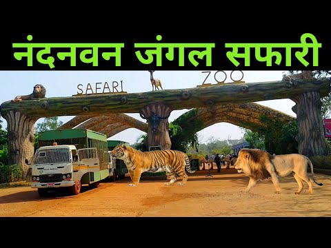 Nandanvan Jungle Safari Naya Raipur | नंदनवन जंगल सफारी | Raipur Chattishgarh | Part - 1