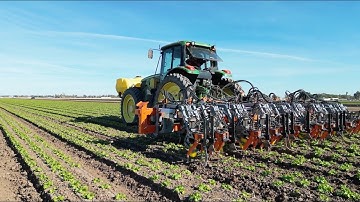 Productivity in Precision Weeding Matters