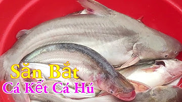 Săn Bắt Cá Kết Cá Hú Trúng Đậm Ngày Giông Bão Miền Tây Sông Nước / Kiềm Rapper