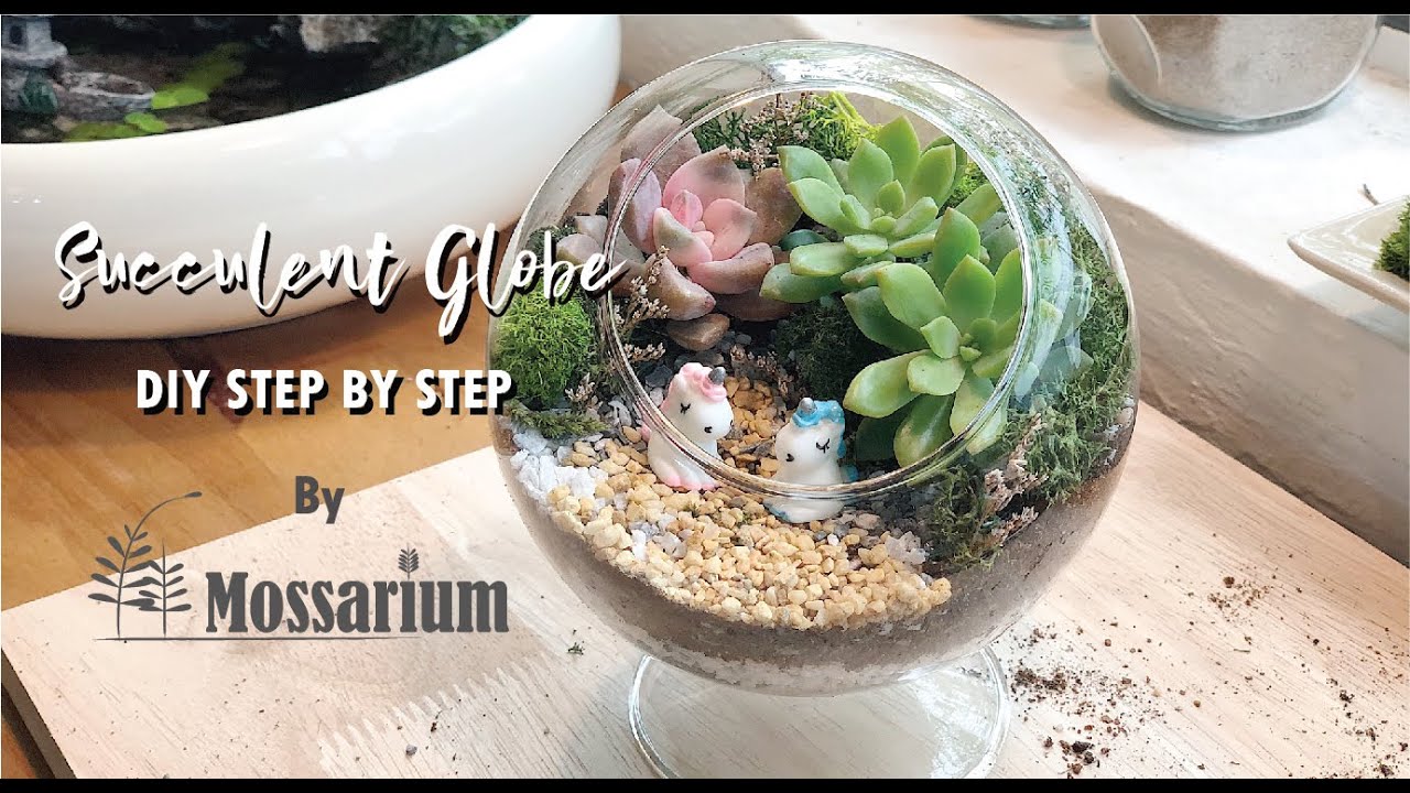 How To Create a Terrarium Succulent Garden YouTube