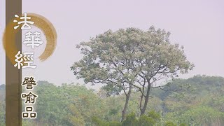 【靜思妙蓮華】法華經譬喻品 - 聞法明諦 解悟真如 - 20210203 第668集