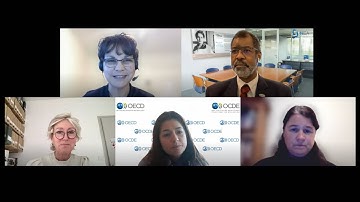 Third Preparatory Webinar - Stakeholder Involvement Workshop 2023
