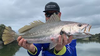 Testing The New Rapala Crush City Plastics. (Flathead, Bream, Jewfish & Estuary Perch)