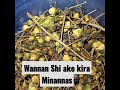 Wannan Shi Ake Kira Minannas