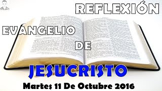 Reflexión Del Día Martes 11 De Octubre 2016| Juan el Bautista| Oración