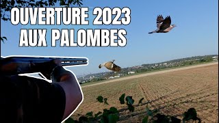 Ouverture 2023 aux Palombes