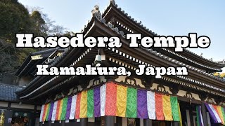 Hasedera Temple (海光山慈照院長谷寺), Kamakura, Japan