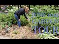 June 2019 garden tour | The Impatient Gardener