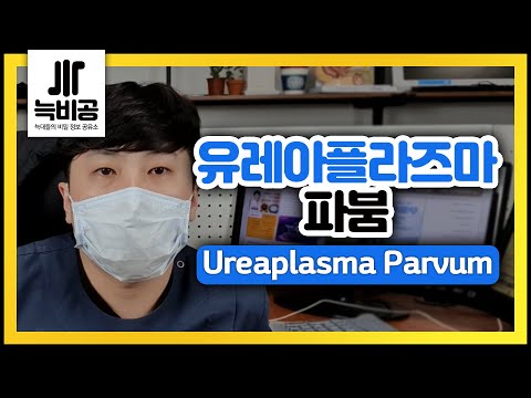 유레아플라즈마파붐(ureaplasma parvum)은 성병균??