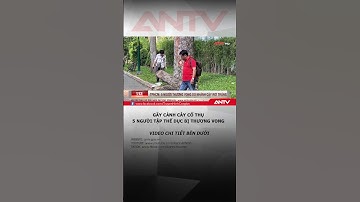 Gãy nhánh cây khiến 5 người thương vong ở công viên Tao Đàn #antv #shorts #tintuc #tphcm #tainan